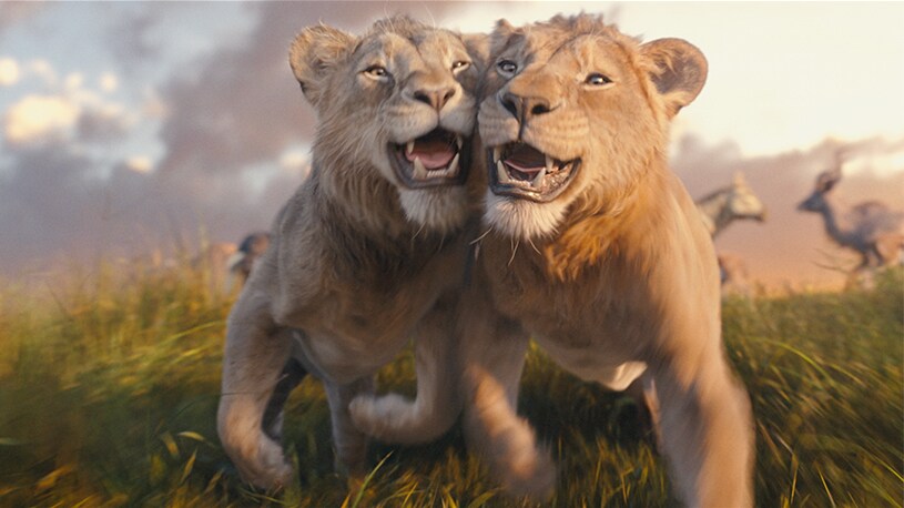 Mufasa Il Re Leone Film Disney